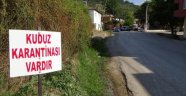Mersin'de Panik, Mahalle Karantinaya Alındı