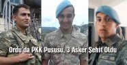 PKK Ordu'da Pusu Kurdu: 3 Asker Şehit
