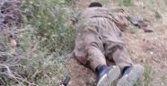 PKK'nın Sözde Sorumlusu Böyle Öldürüldü!