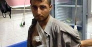 Polisi Şehit Eden PKK'lıya Devlet Şefkati!