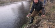 Porsuk Çayı'nda Toplu Balık Ölümleri