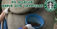 'Starbucks Kahve'nin İçine Fil Dışkısı Katmış