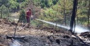 Tavşanlı'da 3 Hektar Ormanlık Alan Yandı