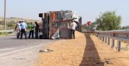 TIR Devrildi, 26 Ton Buğday Yola Saçıldı