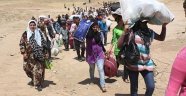 Türkiye'deki Kayıtlı Suriyeli Sayısına İnanamayacaksınız!