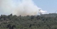 Urla'da Orman Yangını