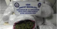 Uşak'ta 134 Kilo Esrar Yakalandı