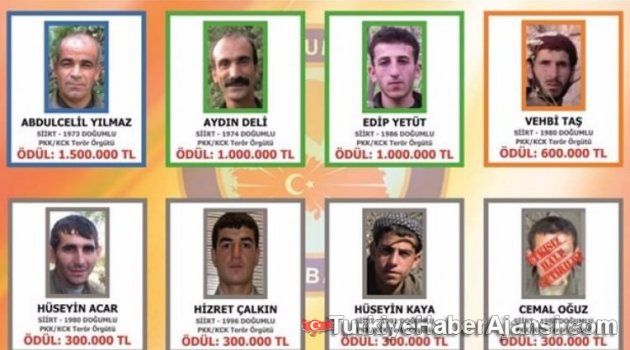 Teröristler Türkçe - Kürtçe Broşürle Aranıyor