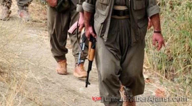 Van'da Karakola Hain Saldırı