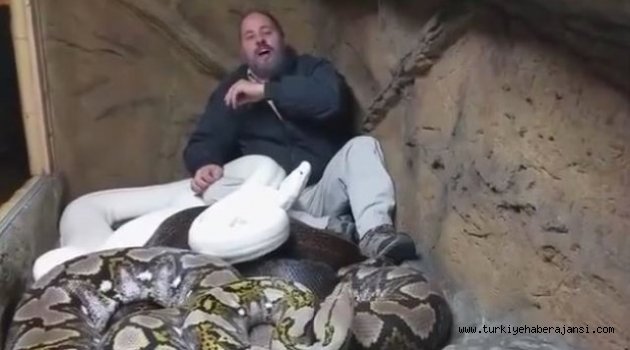 Yılanlarla Aynı Yuvaya Girdi!
