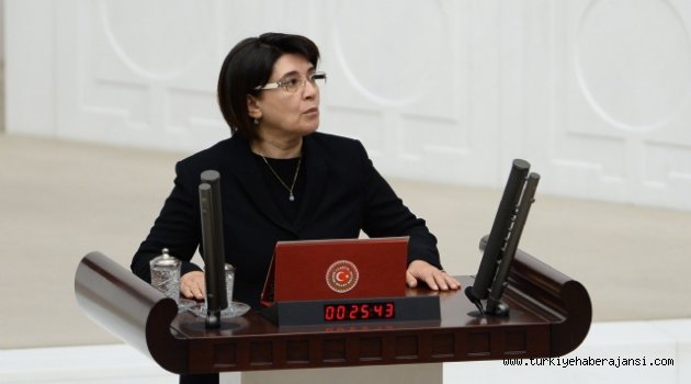 Yine Zana, Yine Yemin Krizi
