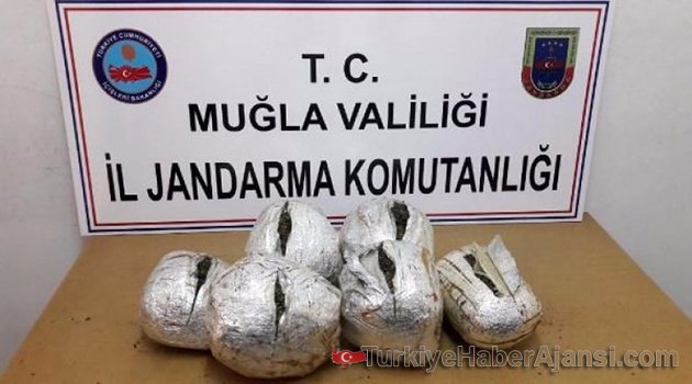 Yolcu Otobüsüyle Esrar Sevkiyatına Gözaltı