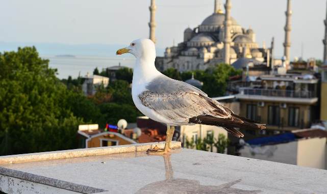 İstanbul'da Nefes Almak: Valizinle Gel, Hayatına Başla