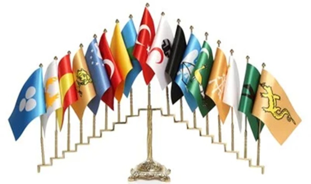 Ya Devlet aklını kaybederse!