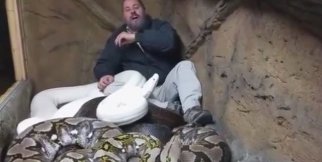 Yılanlarla Aynı Yuvaya Girdi!